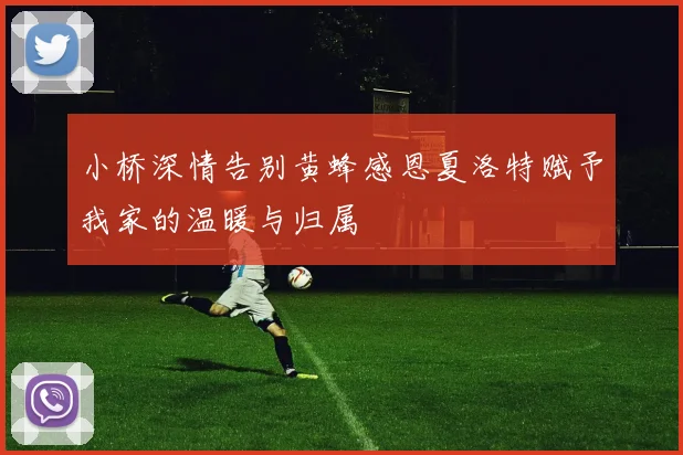 小桥深情告别黄蜂感恩夏洛特赋予我家的温暖与归属
